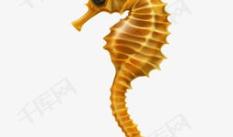 海马动漫,创意无限，动漫世界的璀璨明珠