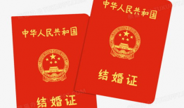 动漫结婚证,甜蜜见证，梦幻爱情之旅