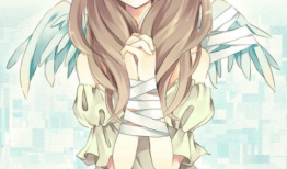 动漫的人,梦想与现实的交织